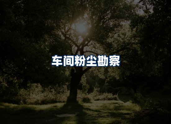 专业团队办公环境